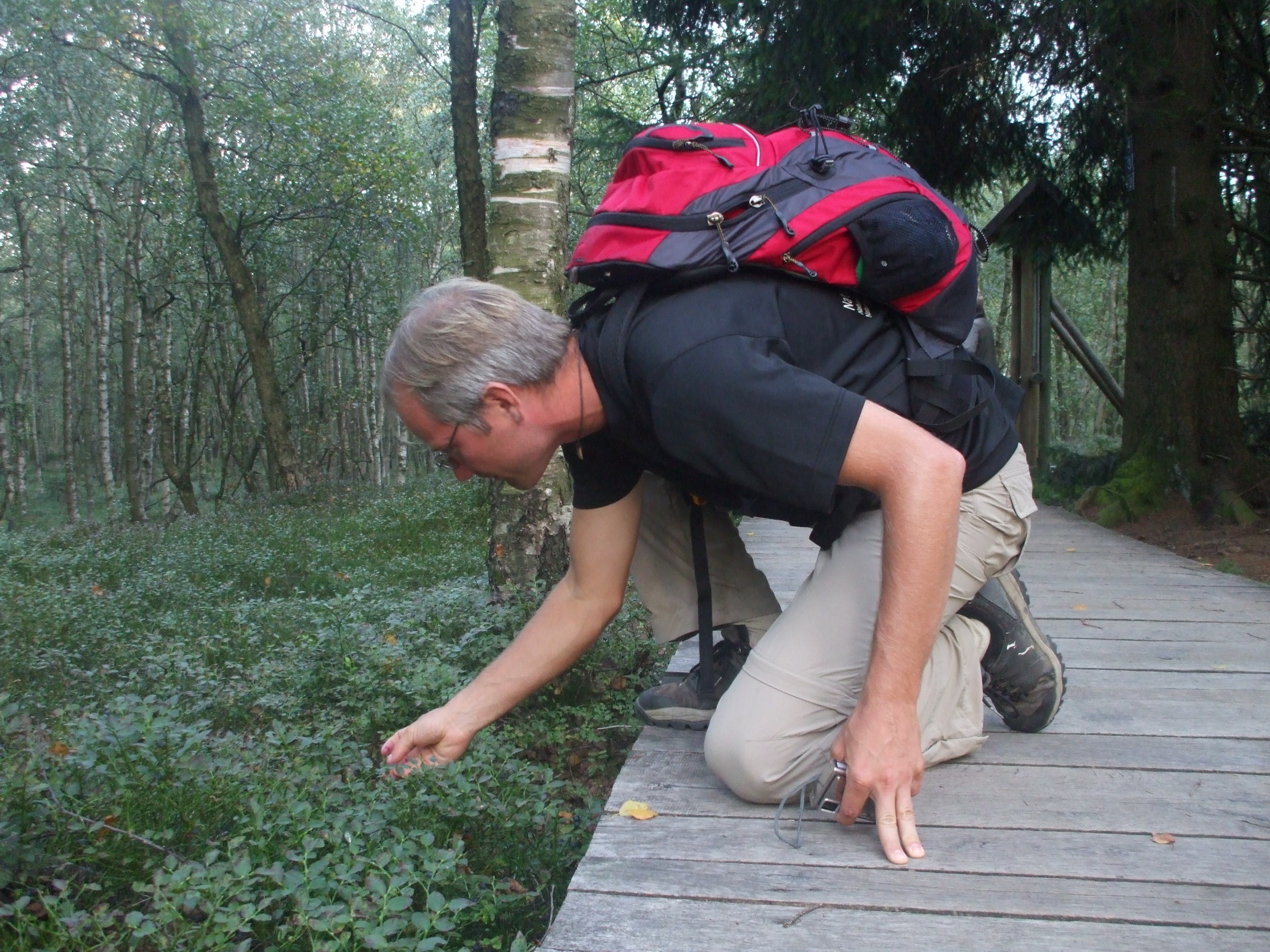 Czibula György erdőmérnök, élővilágvédelmi, tájvédelem szakértő